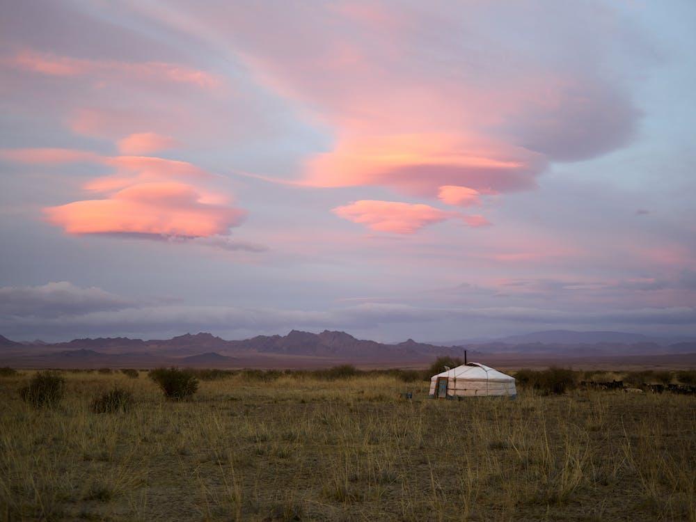 Mongolian countryside